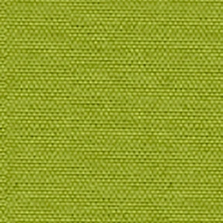 Cartenza-Uni Moss Green