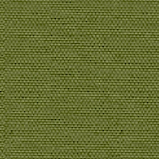 Cartenza-Uni Olive Green