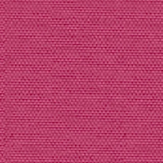 Cartenza-Uni Pink