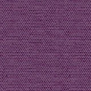 Cartenza-Uni Purple