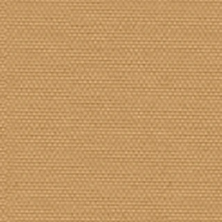 Cartenza-Uni Camel