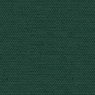 Cartenza-Uni Dark Green