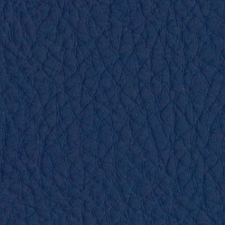 Cuzco Blueberry