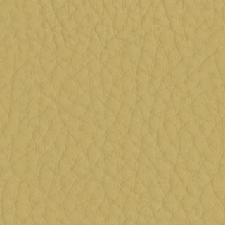 Cuzco Bone