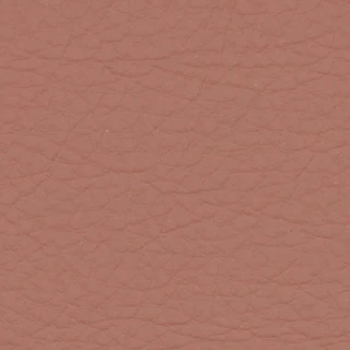 Cuzco Coral