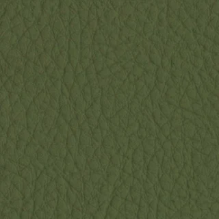 Cuzco Olive