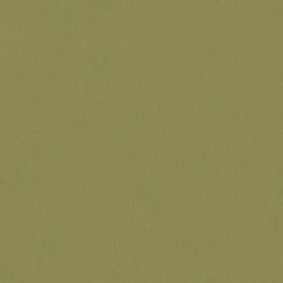 Homie Fabrics® Velvet Leaf Green