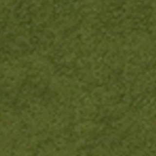 Nofruit Velours Dark Green