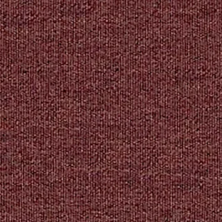Sunbrella Solids Autumn